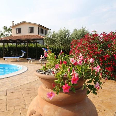Agriturismo Casale Sasso Cerveteri Extérieur photo
