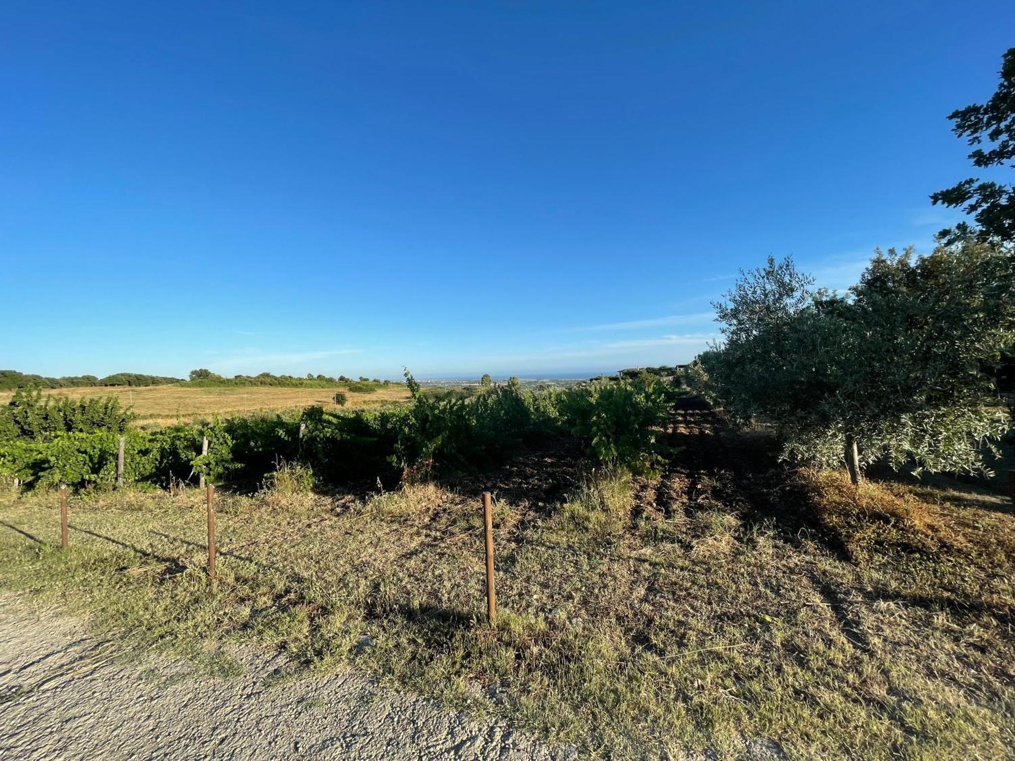 Agriturismo Casale Sasso Cerveteri Extérieur photo