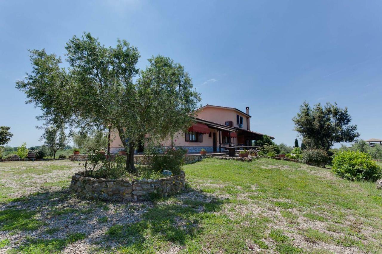 Agriturismo Casale Sasso Cerveteri Extérieur photo