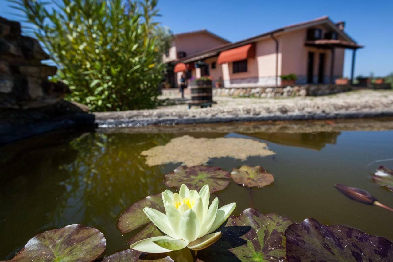 Agriturismo Casale Sasso Cerveteri Extérieur photo