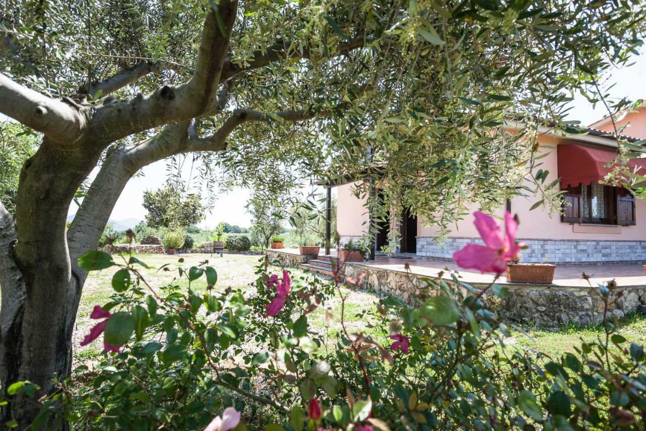 Agriturismo Casale Sasso Cerveteri Extérieur photo