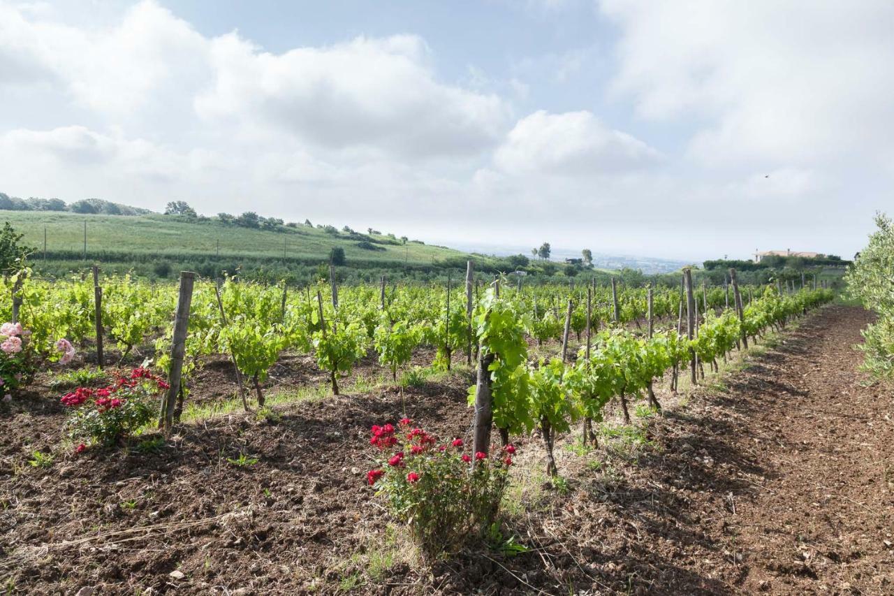 Agriturismo Casale Sasso Cerveteri Extérieur photo